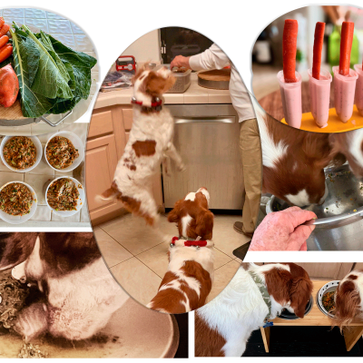 Making The new BAARF Diet